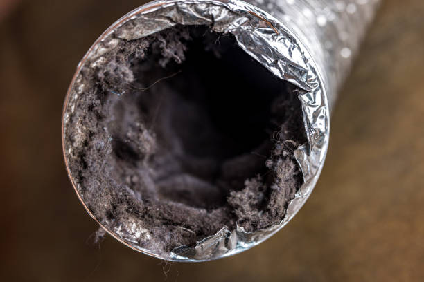 Best HVAC Duct Inspection Services  in Oxford, PA